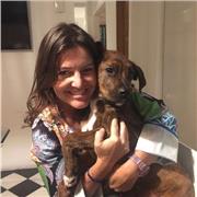 Doy clases grupales o individuales de ingles. Mayormente de  conversation . A personas de cualquier edad